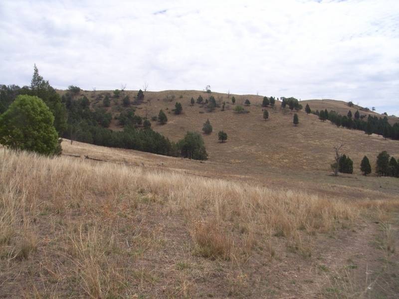 Mudgee NSW 2850