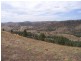 Mudgee NSW 2850