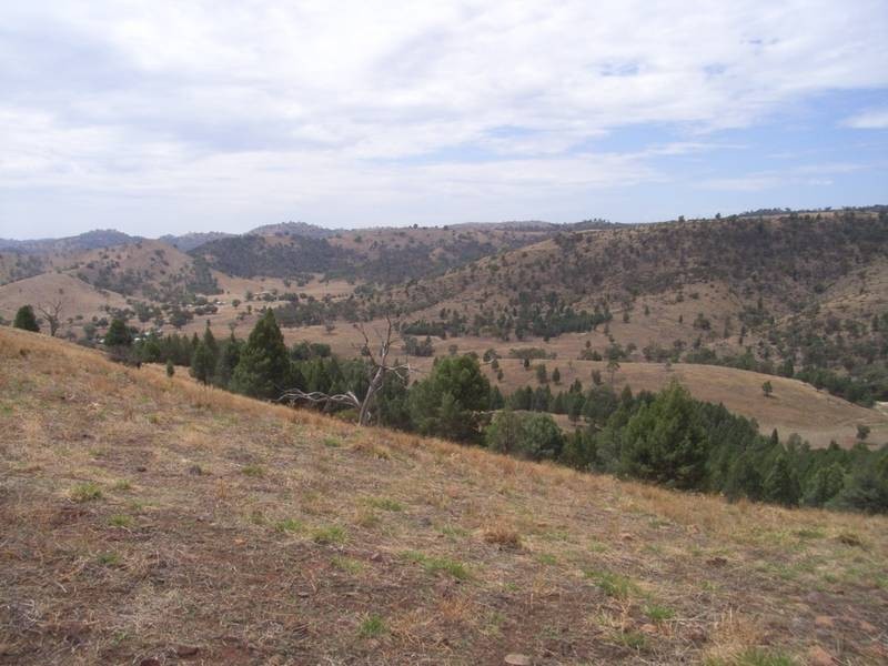 Mudgee NSW 2850
