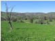 Mudgee NSW 2850