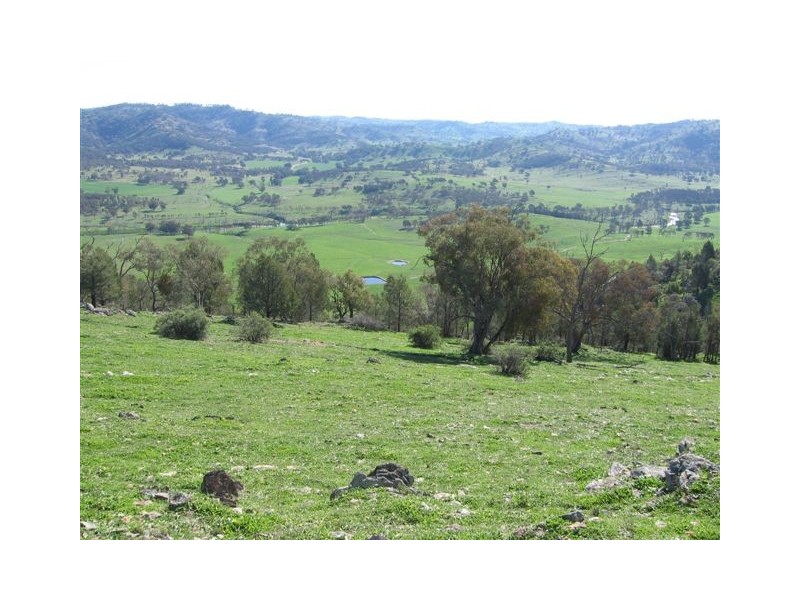 Mudgee NSW 2850