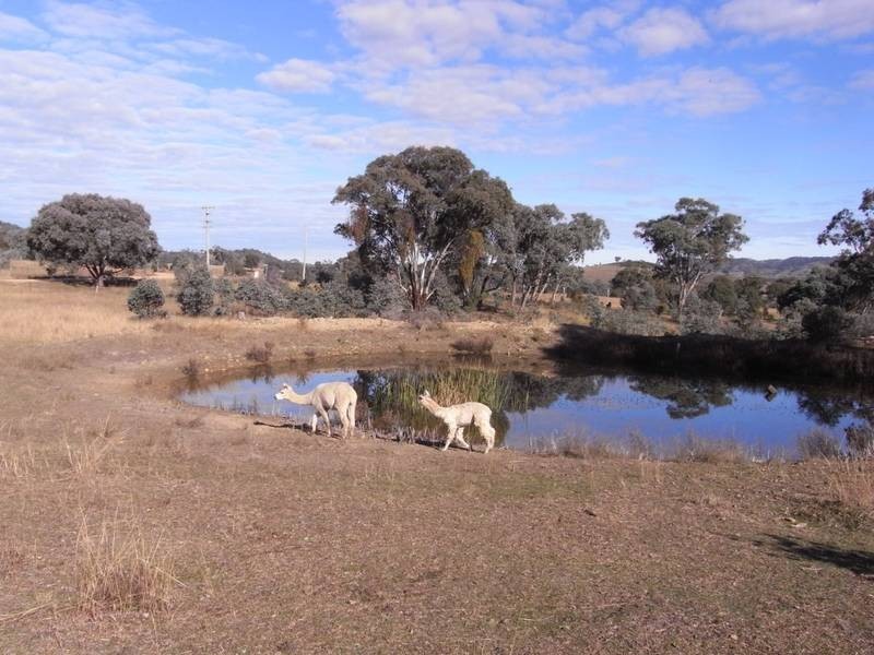 Mudgee NSW 2850