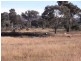 Mudgee NSW 2850