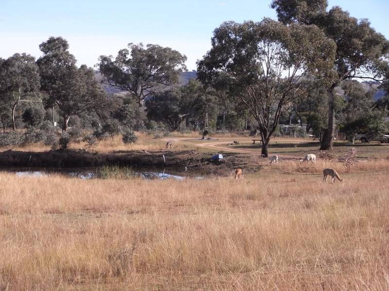Mudgee NSW 2850