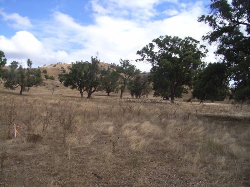 Mudgee NSW 2850