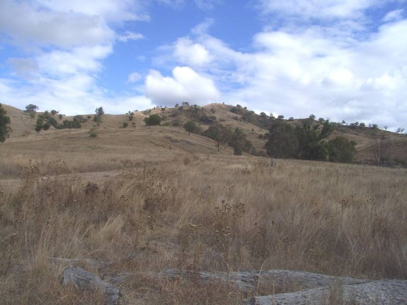 Mudgee NSW 2850