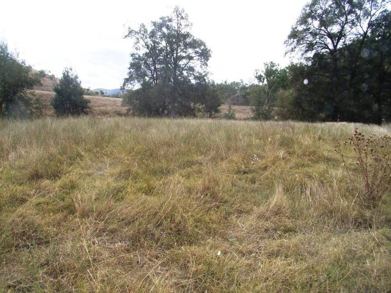 Mudgee NSW 2850