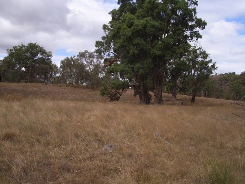 Mudgee NSW 2850