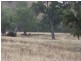 Mudgee NSW 2850