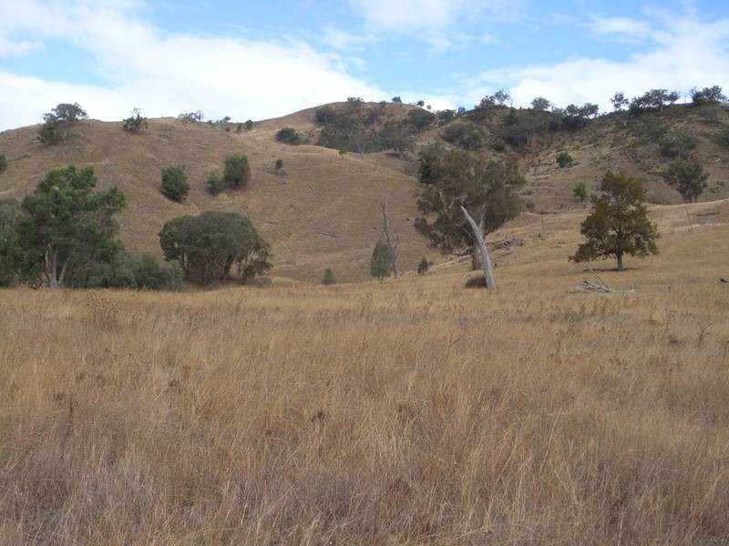 Mudgee NSW 2850