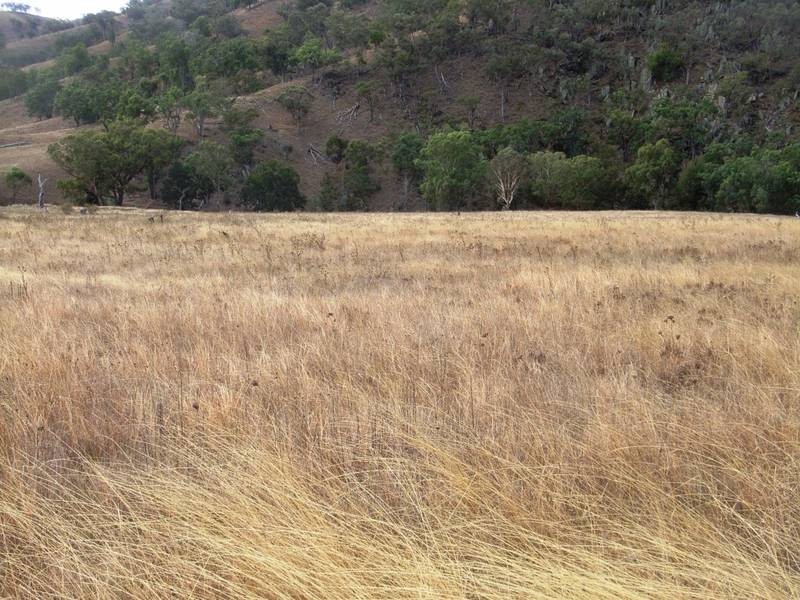 Mudgee NSW 2850