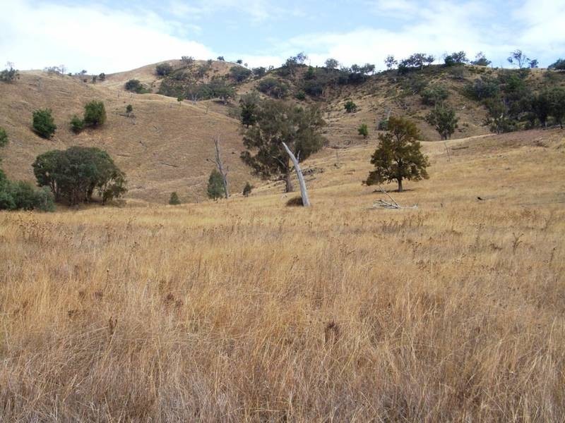 Mudgee NSW 2850