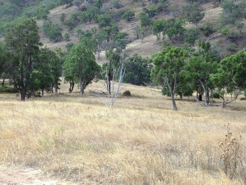 Mudgee NSW 2850