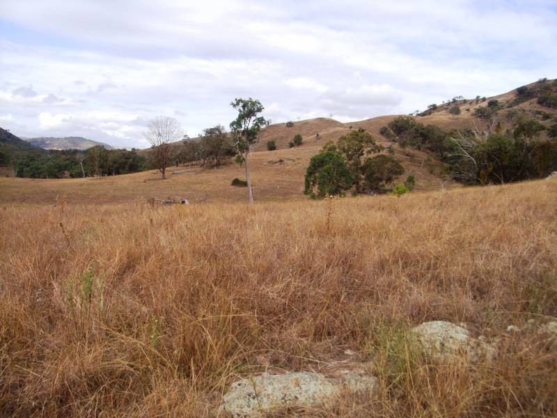 Mudgee NSW 2850