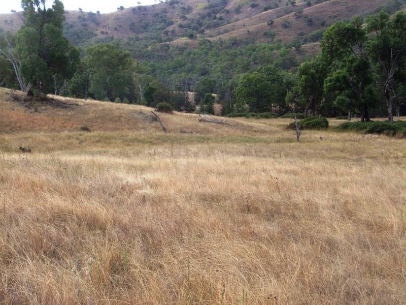 Mudgee NSW 2850