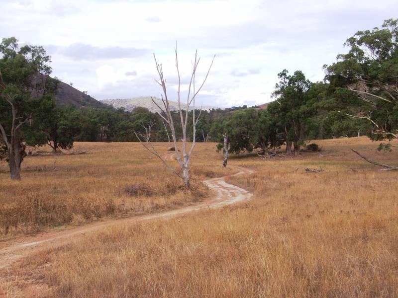 Mudgee NSW 2850