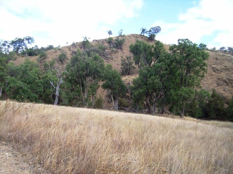 Mudgee NSW 2850
