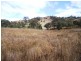 Mudgee NSW 2850