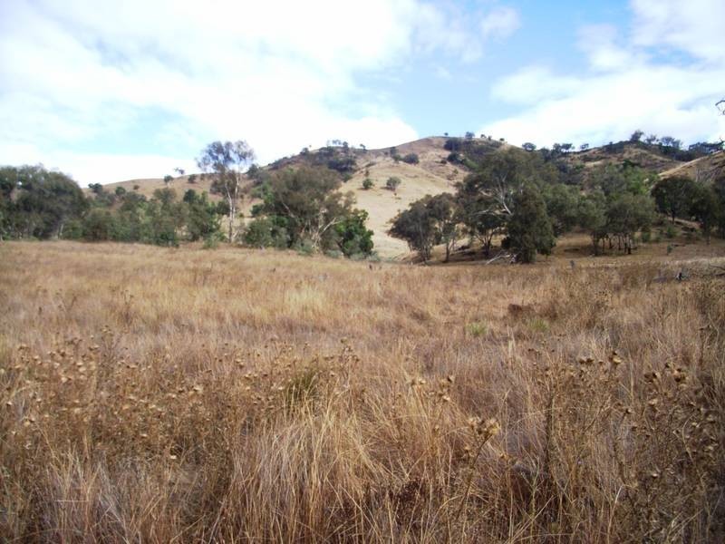 Mudgee NSW 2850