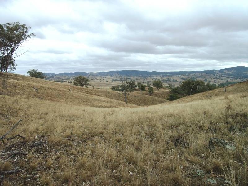 Mudgee NSW 2850
