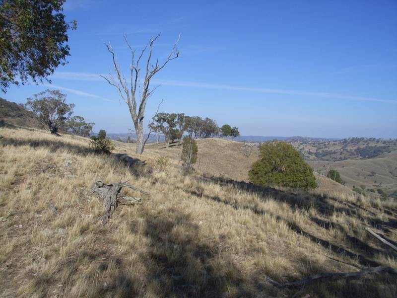 Mudgee NSW 2850