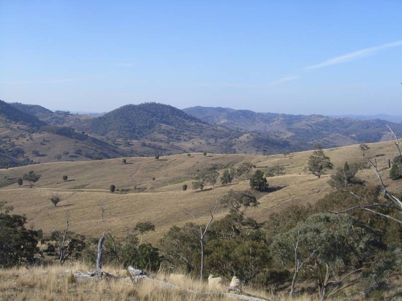 Mudgee NSW 2850