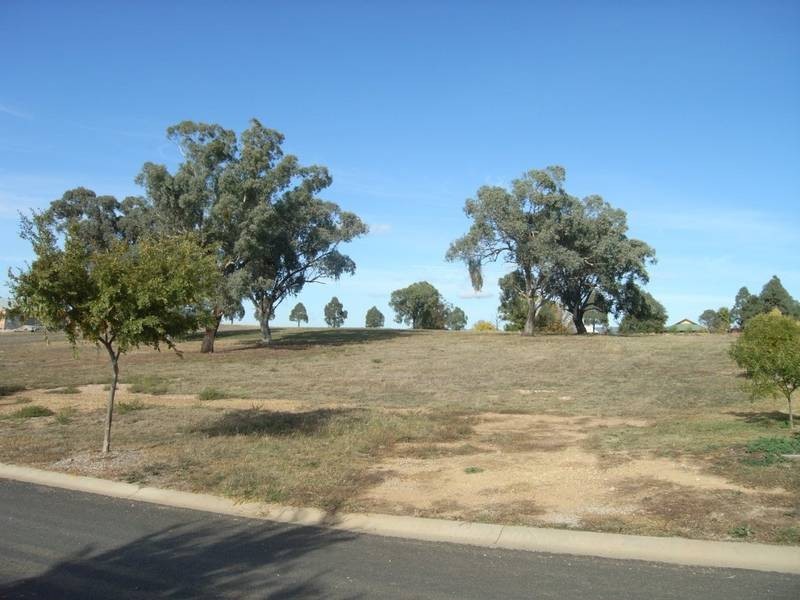 Mudgee NSW 2850