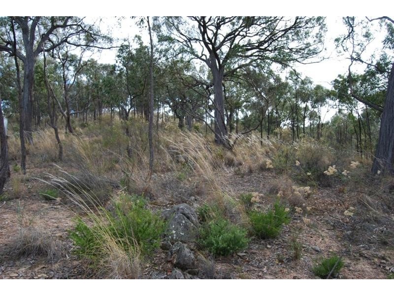 707 Windeyer Road, Mudgee NSW 2850