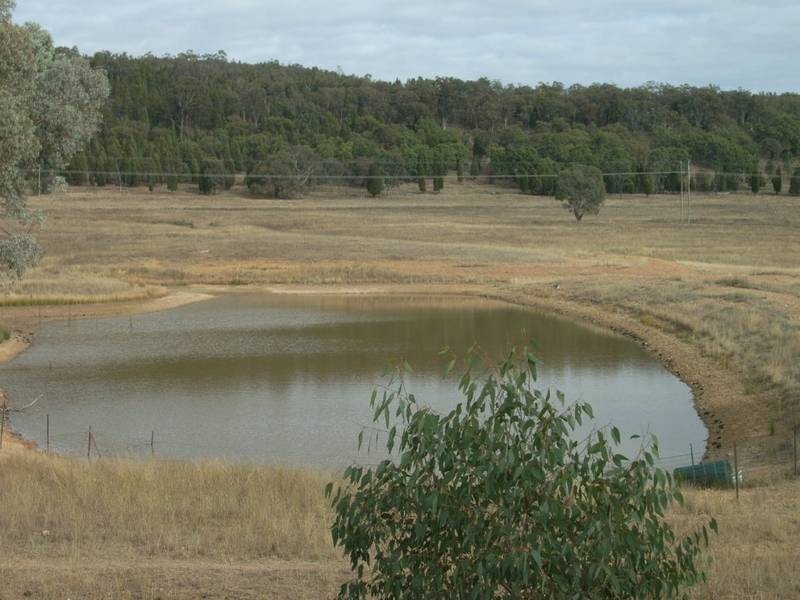 Mudgee NSW 2850