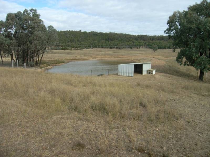 Mudgee NSW 2850