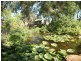 Mudgee NSW 2850