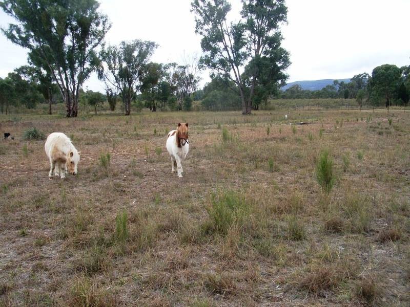 Mudgee NSW 2850