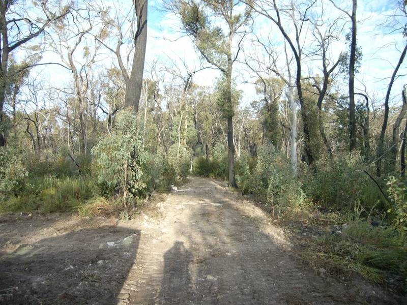 Mudgee NSW 2850