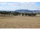 Mudgee NSW 2850