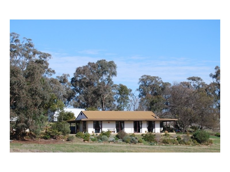 Gulgong NSW 2852