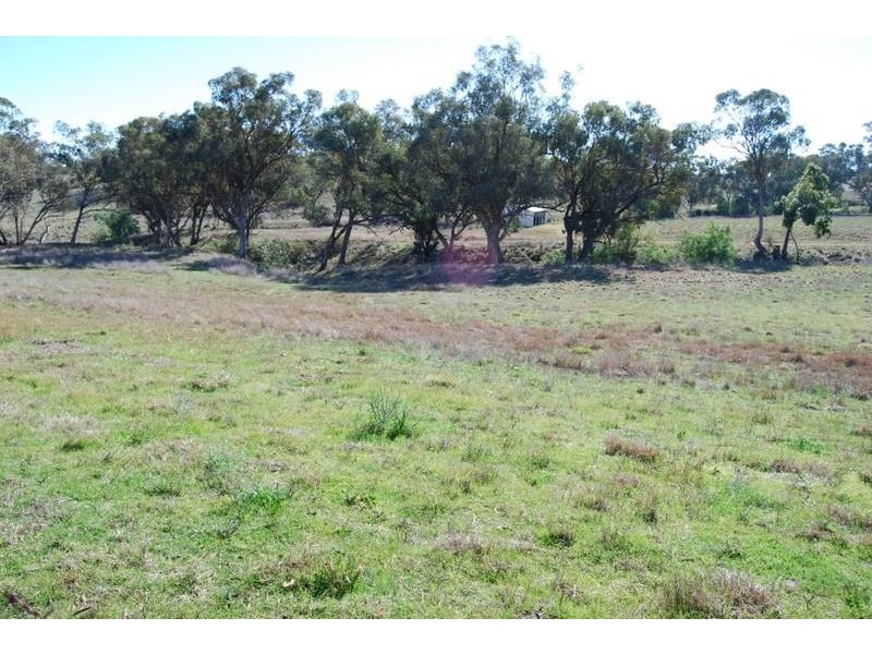 Gulgong NSW 2852