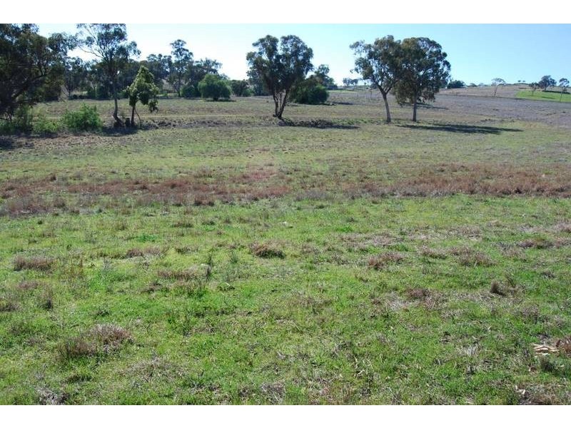 Gulgong NSW 2852