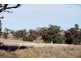 Gulgong NSW 2852