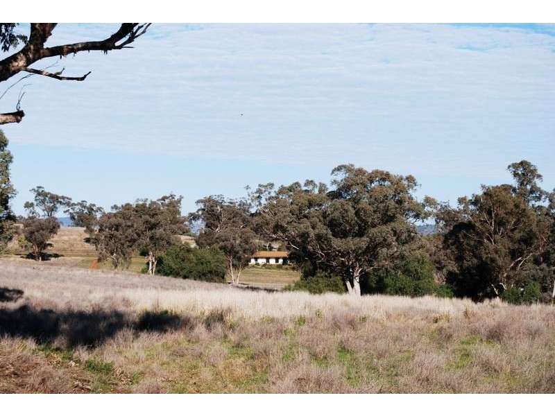 Gulgong NSW 2852