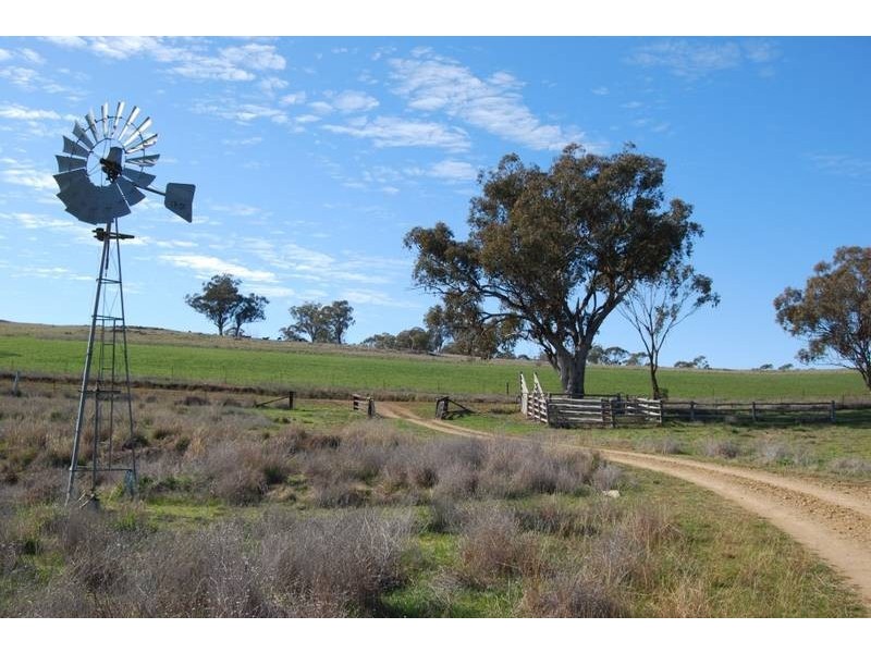 Gulgong NSW 2852