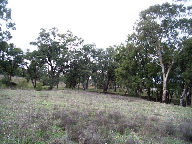 Gulgong NSW 2852