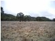 Gulgong NSW 2852