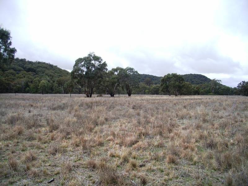 Gulgong NSW 2852