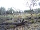 Mudgee NSW 2850