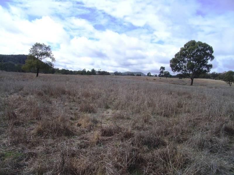 Mudgee NSW 2850