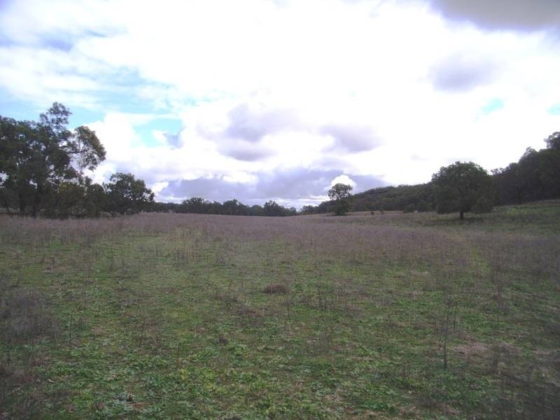 Mudgee NSW 2850