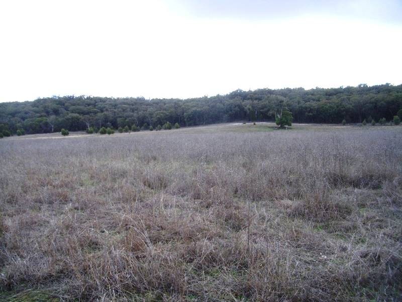 Mudgee NSW 2850
