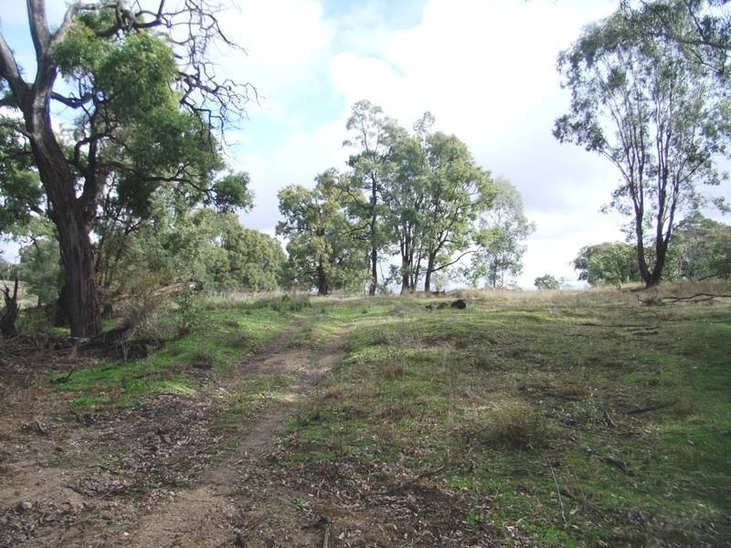 Mudgee NSW 2850