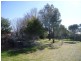 Mudgee NSW 2850