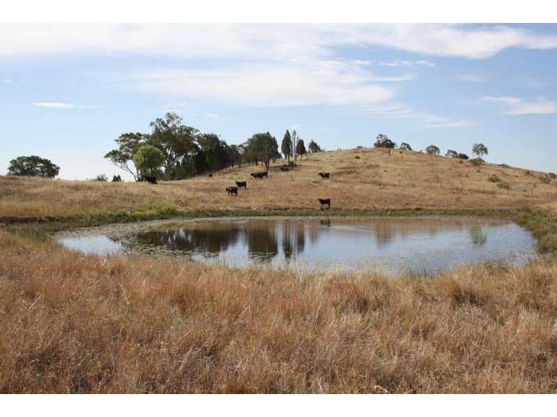 Mudgee NSW 2850